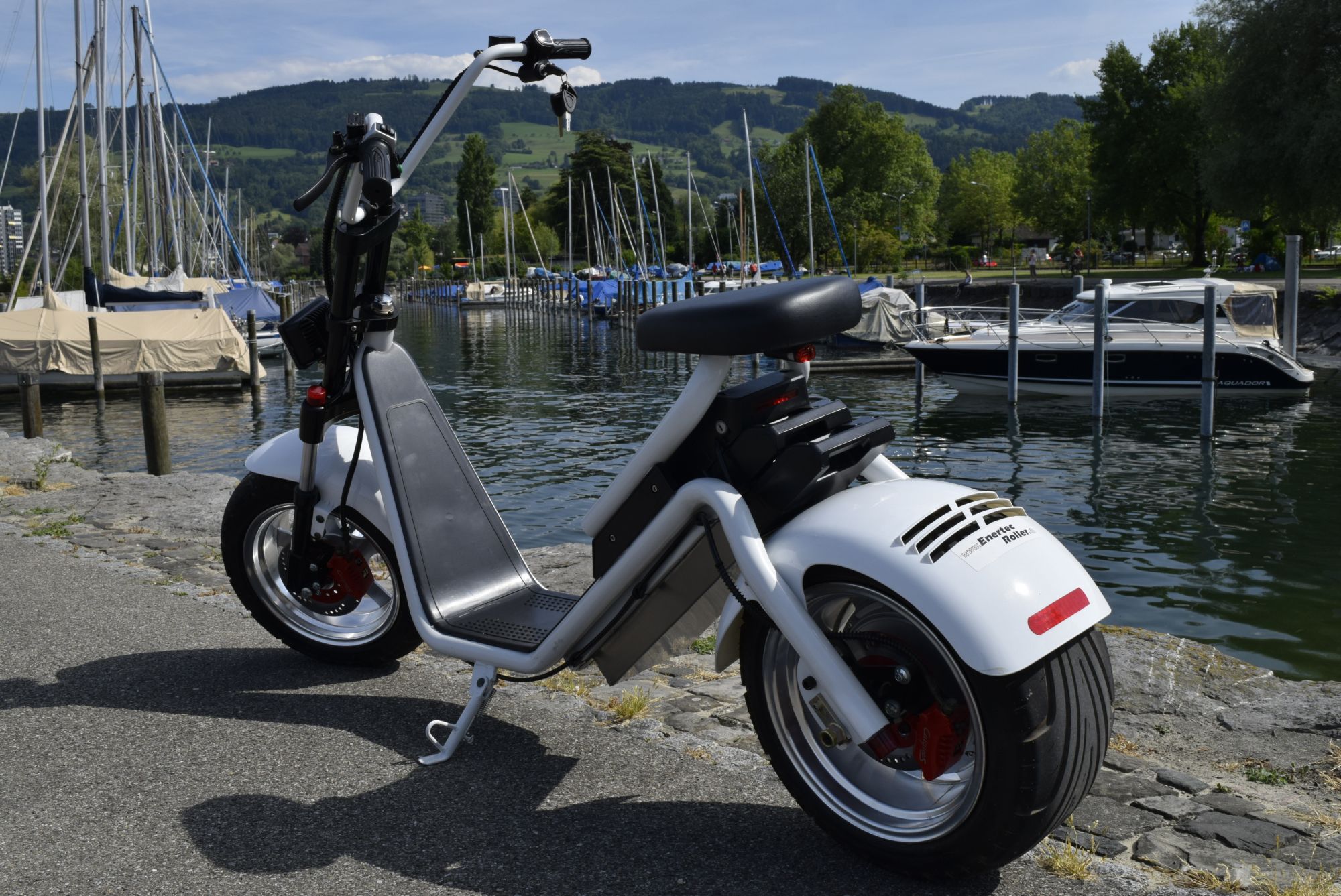RufScooter Elektroscooter Bedürfnisse für ältere, gehbehinderte Menschen Startseite